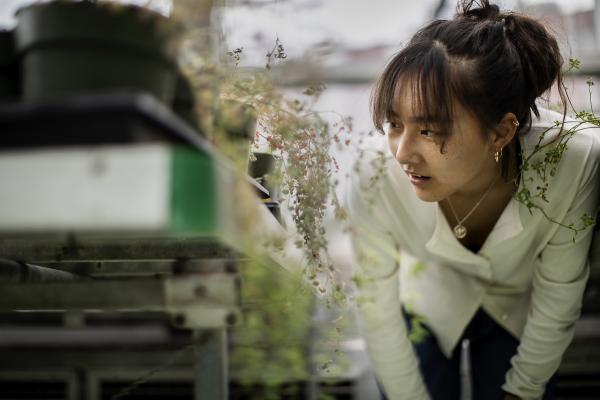 Focusing on parasitic nematodes that draw nutrients from plants, Wu, who is pursuing a dual degree between Wharton and the College, is testing whether the parasites are specialists or generalists in the types of plants they infect.