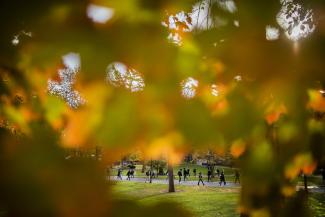 Fall Foliage at Penn