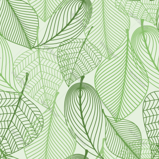 Image: Light green plant leaves