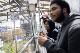 Penn Upward Bound high school students observed the behaviors of male brown-headed cowbirds at the Penn Smart Aviary as part of a visit to Pennovation Works that MindCORE coordinated.